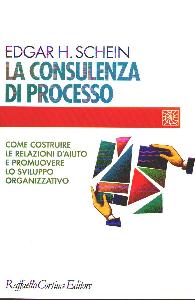 SCHEIN EDGAR, Consulenza di processo