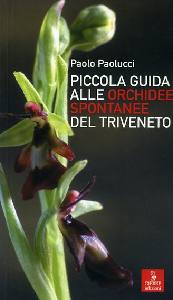 PAOLUCCI PAOLO, Piccola guida alle orchidee spontanee.  Triveneto