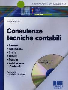 AGOSTINI FILIPPO, Consulenze tecniche contabili