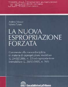 MIOZZO-TAFURO, La nuova espropriazione forzata