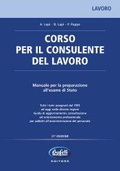 AA.VV., Corso per il consulente del lavoro