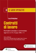 RAUSEI PIERLUIGI, Contratti di lavoro