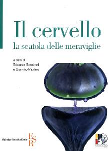 BONCINELLI - MARTINO, Il cervello la scatola delle meraviglie