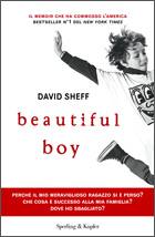 SHEFF DAVID, beautiful boy