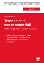 BANCONE VINCENZO, Trust ed enti non commerciali prifili comparativi