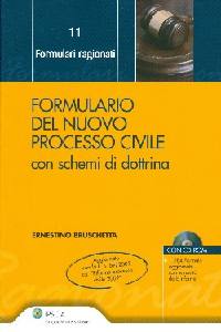 BRUSCHETTA ERNESTINO, Formulario del nuovo processo civile