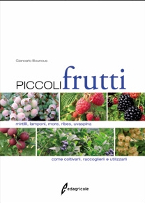 BOUNOUS GIANCARLO, piccoli frutti