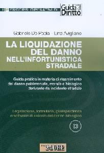 DE PAOLA - AVIGLIANO, La liquidazione del danno infortunistica stradale