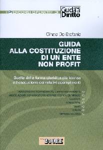 DE STEFANIS CINZIA, Guida alla costituzione di un ente non profit