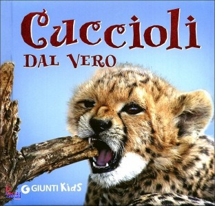 Ingrandisci immagine
