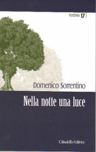 SORRENTINO DOMENICO, Nella notte una luce