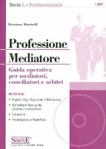 MARINELLI DAMIANO, Professione mediatore