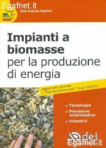 PAGNONI GIAN ANDREA, Impianti a biomasse per la produzione di energia