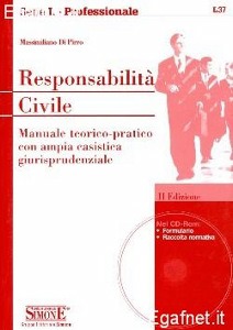 DI PIRRO MASSIMILIAN, Responsabilit civile