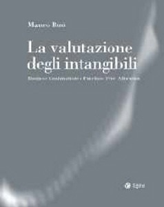 BINI MAURO, La valutazione degli intangibili