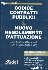 DEI, Codice contratti pubblici - Regolamento