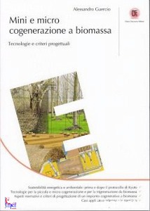 GUERCIO ALESSANDRO, Mini e micro cogenerazione a biomassa