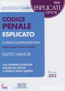 SIMONEAA.VV., Codice penale esplicato minor