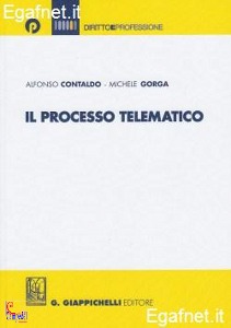 CONTALDO - GORGA, Il processo telematico