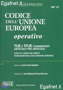 CURTI GIALDINO CARLO, Codice dell