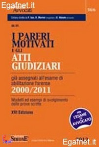 SIMONE, Pareri motivati e atti giudiziari