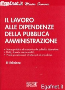 SIMONE, Il lavoro alle dipendenze della P. Amministrazione