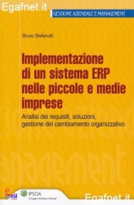 STEFANUTTI BRUNO, Implementazione di un sistema Erp nelle PMI