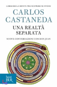 Castaneda Carlos, Una realt separata