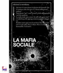 SECCIA DOMENICO, La mafia sociale