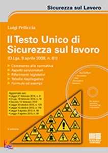 Pelliccia Luigi, Il testo unico di sicurezza sul lavoro