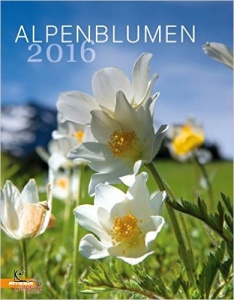 , Alpenblumen 2017