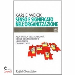 WEICK KARL E., Senso e significato nell