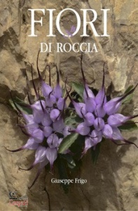 FRIGO GIUSEPPE, Fiori di roccia