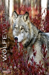 , Wolfe Wolves Calendario da muro 2018