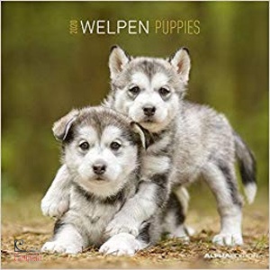 AA.VV., Calendario 2020 Welpen Puppies