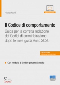 PATUMI RICCARDO, Il Codice di comportamento