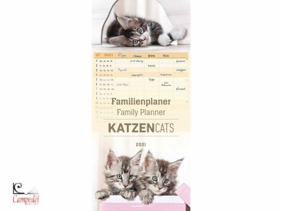 ALPHA, Flaminienplaner Calendario 2021 Gatti Cats