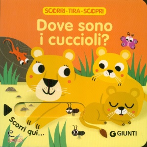 immagine di copertina