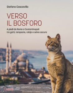 Ingrandisci immagine