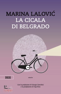 Ingrandisci immagine