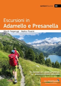 Ingrandisci immagine