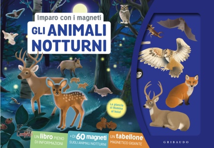 immagine di copertina