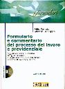 immagine di Formulario e commentario del processo del lavoro