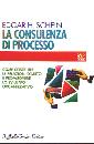 SCHEIN EDGAR, Consulenza di processo