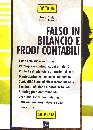 BALDUCCI CECCARONI, Falso in bilancio e frodi contabili