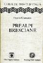 CAMERINI FAUSTO, Prealpi Bresciane