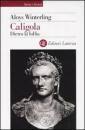 immagine di Caligola dietro la follia