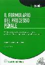 CORSO-GUADALUPI, Il formulario del processo penale