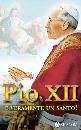 CIONCHI GIUSEPPE, Pio XII  veramente un santo