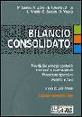 ANDREI - AZZALI -..., Bilancio consolidato